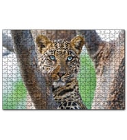 Cakapuzzle  Ağaç Dallarında Genç Leopar  Puzzle Yapboz MDF (Ahşap) (500 Parça)