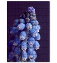 Cakapuzzle Eşsiz Güzellikteki Mor Sümbül Puzzle Yapboz MDF (Ahşap) (1000 Parça)