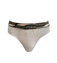 JOJOBOY POLO ERKEK YANI FİLE SLİP KÜLOT 2 Lİ (Grimelanj)