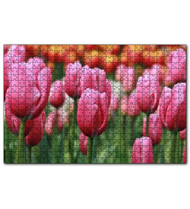 Cakapuzzle Pembe Lale Tarlası Görseli  Puzzle Yapboz MDF (Ahşap) (255 Parça)