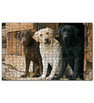 Cakapuzzle Kahve Krem ve Siyah Labradorlar Puzzle Yapboz MDF (Ahşap) (500 Parça)