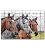 Cakapuzzle Çayırda Kahverengi ve Gri Atlar Yakın Çekim Puzzle Yapboz MDF (Ahşap) (255 Parça)