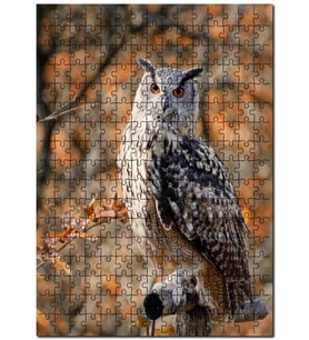 Cakapuzzle Gururlu Baykuş Görseli Puzzle Yapboz MDF (Ahşap) (500 Parça)