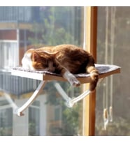 DEMA GRUP Plastik Beyaz Cama Yapışan Kedi Yatağı Cam Ve Duvar Için Kedi Yatağı Vantuzlu (Gri)