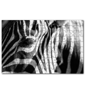 Cakapuzzle Zebra Yakın Çekim Siyah Beyaz Puzzle Yapboz MDF (Ahşap) (500 Parça)