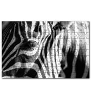 Cakapuzzle Zebra Yakın Çekim Siyah Beyaz Puzzle Yapboz MDF (Ahşap) (500 Parça)
