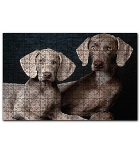 Cakapuzzle Sevimli Kahverengi Weimaranerler  Puzzle Yapboz MDF (Ahşap) (1000 Parça)