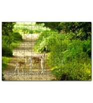 Cakapuzzle Orman Patikasında Anne Ceylan ve Yavruları Puzzle Yapboz MDF (Ahşap) (1000 Parça)