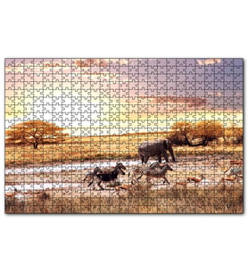 Cakapuzzle Savanada Filler Zebralar ve Antiloplar  Puzzle Yapboz MDF (Ahşap) (255 Parça)