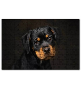Cakapuzzle Sevimli Rottweiller Yavrusu Görsel Puzzle Yapboz MDF (Ahşap) (500 Parça)