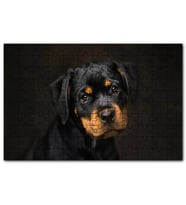 Cakapuzzle Sevimli Rottweiller Yavrusu Görsel Puzzle Yapboz MDF (Ahşap) (500 Parça)