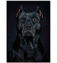Cakapuzzle Pitbull Cinsi Köpek Puzzle Yapboz MDF (Ahşap) (500 Parça)