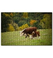 Cakapuzzle Doğada Öküz Ve Dana Koşturmacası Görseli  Puzzle Yapboz MDF (Ahşap) (500 Parça)