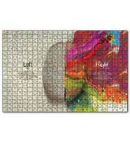 Cakapuzzle Beynin Hangi Lobu Ne İş Yapar  Puzzle Yapboz MDF (Ahşap) (1000 Parça)