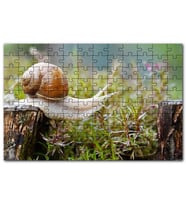 Cakapuzzle Kütükten Otların Üzerine İnen Salyangoz Puzzle Yapboz MDF (Ahşap) (255 Parça)