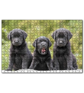 Cakapuzzle Üç Sevimli Siyah Yavru Köpek  Puzzle Yapboz MDF (Ahşap) (1000 Parça)