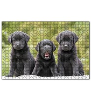 Cakapuzzle Üç Sevimli Siyah Yavru Köpek  Puzzle Yapboz MDF (Ahşap) (1000 Parça)