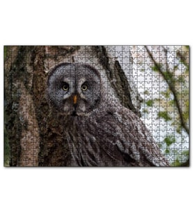 Cakapuzzle Karlı Ormanda Ağacın Önündeki Baykuş  Puzzle Yapboz MDF (Ahşap) (1000 Parça)