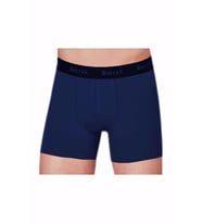 Berrak 4476 Erkek Modal Likralı Boxer 2 Adet (Lacivert)