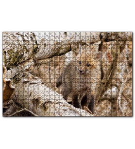 Cakapuzzle Ormanda Ağaçlar Arasındaki Yavru Tilki  Puzzle Yapboz MDF (Ahşap) (500 Parça)