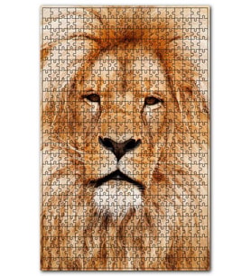 Cakapuzzle Yorgun Kral Aslan Yakın Çekim Puzzle Yapboz MDF (Ahşap) (500 Parça)