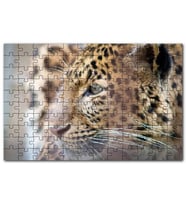 Cakapuzzle Muhteşem Güzellikteki Leopar Yakın Çekim Puzzle Yapboz MDF (Ahşap) (500 Parça)