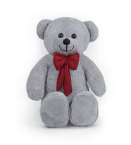 Pandamkee 80 Cm Sevgiliye Özel Hediyelik Ayı (Gri)