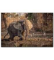 Cakapuzzle Çamur Banyosu Yapan Fil ve Arkada Leylekler  Puzzle Yapboz MDF (Ahşap) (1000 Parça)