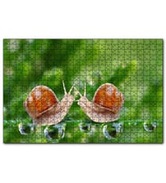 Cakapuzzle Salyangozlar Karşılaşması Yeşil Damlacıkları Görseli  Puzzle Yapboz MDF (Ahşap) (500 Parça)