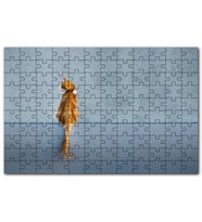 Cakapuzzle Mavi Duvar Önündeki Sarı Kedi Puzzle Yapboz MDF (Ahşap) (500 Parça)