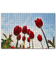 Cakapuzzle Kırmızı Lale Bahçesi Görseli  Puzzle Yapboz MDF (Ahşap) (1000 Parça)