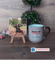 Matematik Öğretmeni Fotoğraflı Dekoratif Taş, Kupa Bardak Beyaz Hediye Öğretmenler Günü Hediyesi (Model 10)