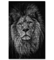 Cakapuzzle Erkek Aslan Yaşanmışlığın İzleri Puzzle Yapboz MDF (Ahşap) (500 Parça)
