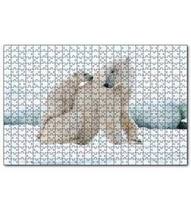Cakapuzzle  Beyaz Ayı Ailesi Kutup  Puzzle Yapboz MDF (Ahşap) (500 Parça)