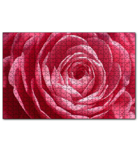 Cakapuzzle Pembe Gül Makro  Puzzle Yapboz MDF (Ahşap) (255 Parça)