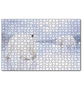 Cakapuzzle Kutup Ayıları Karlar ve Buz Kütleleri  Puzzle Yapboz MDF (Ahşap) (255 Parça)