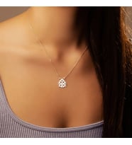 Kişiye Özel 925 Ayar Gümüş Uğur Böceği Kolye (Gümüş)