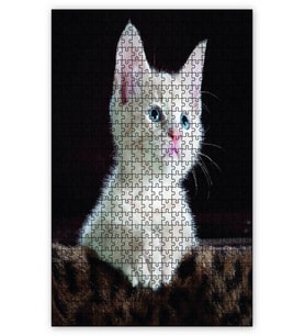 Cakapuzzle Yavru Sevimli Beyaz Kedi Puzzle Yapboz MDF (Ahşap) (255 Parça)