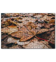 Cakapuzzle Yerde Sararmış Yapraklar  Puzzle Yapboz MDF (Ahşap) (500 Parça)