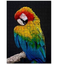 Cakapuzzle Mavi Sarı Kırmızı Macaw Siyah Arkaplan Puzzle Yapboz MDF (Ahşap) (500 Parça)