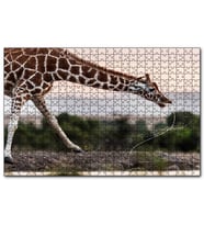 Cakapuzzle Su İçen Zurafa  Puzzle Yapboz MDF (Ahşap) (500 Parça)