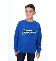 Toontoy Erkek Çocuk Baskılı Sweatshirt (Saks)