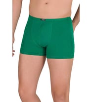 Erkek İnce Kemerli Likralı Boxer Berrak-4488 (Yeşil)