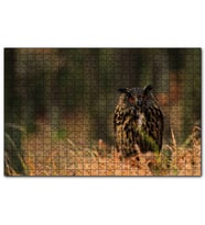Cakapuzzle Çayırdaki Kırmızı Gözlü Baykuş  Puzzle Yapboz MDF (Ahşap) (500 Parça)