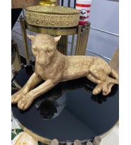 Yatan Leopar Biblo (Gold)