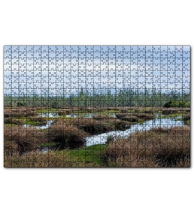 Cakapuzzle Sazlıklar ve Su Kenarında Otlar  Puzzle Yapboz MDF (Ahşap) (500 Parça)