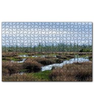 Cakapuzzle Sazlıklar ve Su Kenarında Otlar  Puzzle Yapboz MDF (Ahşap) (500 Parça)