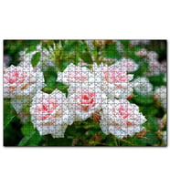 Cakapuzzle Beyaz Çalı Gülleri Görseli  Puzzle Yapboz MDF (Ahşap) (500 Parça)