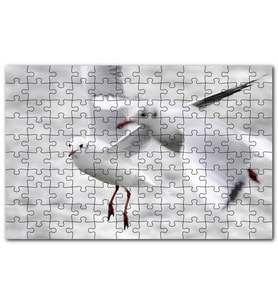 Cakapuzzle İki Martı Yakın Çekim Flu Deniz Arkaplan Puzzle Yapboz MDF (Ahşap) (1000 Parça)