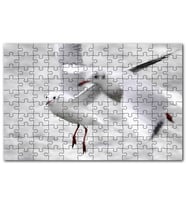 Cakapuzzle İki Martı Yakın Çekim Flu Deniz Arkaplan Puzzle Yapboz MDF (Ahşap) (1000 Parça)